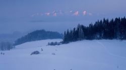 Pieniny - widok na Tatry