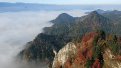 Pieniny widok z Sokolicy