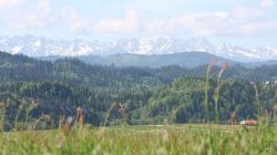 Widok na Tatry